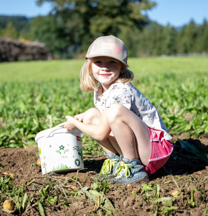 Kartoffelernte mit Kindern am Bio-Bauernhof