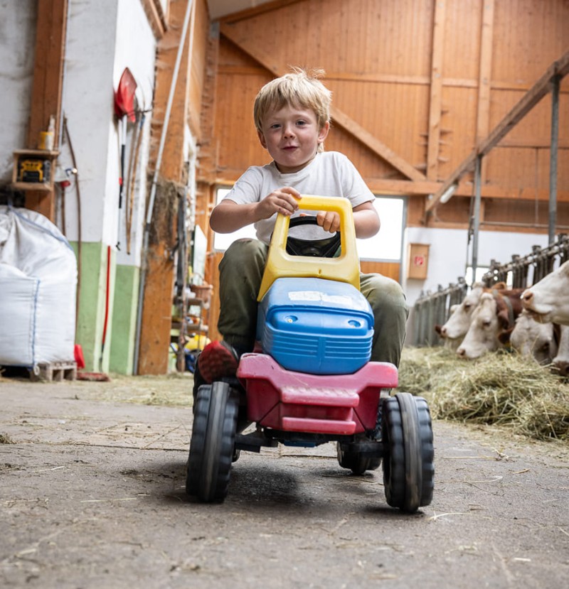 Mit dem Trettraktor durch den Stall am Bauernhof