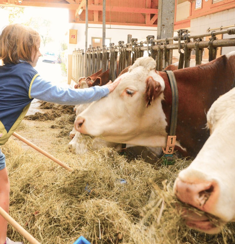 Tiere hautnah erleben beim Schule-am-Bauernhof-Tag