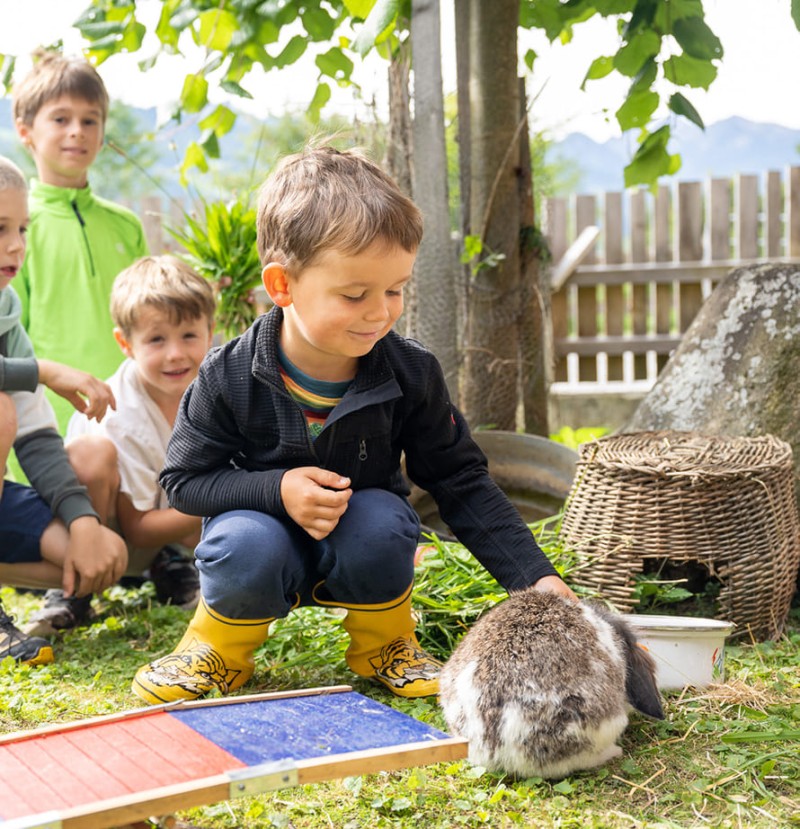 Tiere entdecken beim Bauernhofurlaub in Ramsau am Dachstein