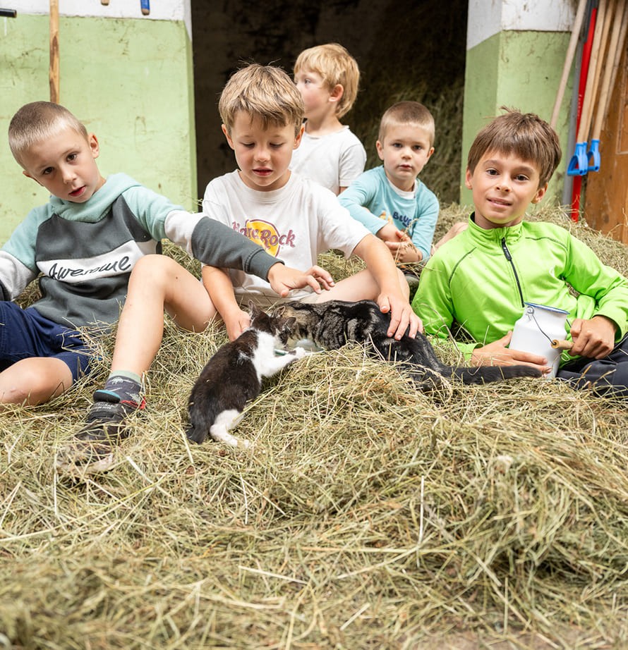 K&auml;tzchen streicheln beim Familienurlaub in Ramsau am Dachstein