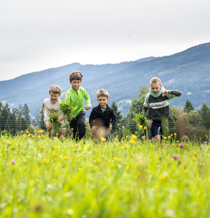 Familienurlaub inmitten der Natur mit herrlichem Bergblick