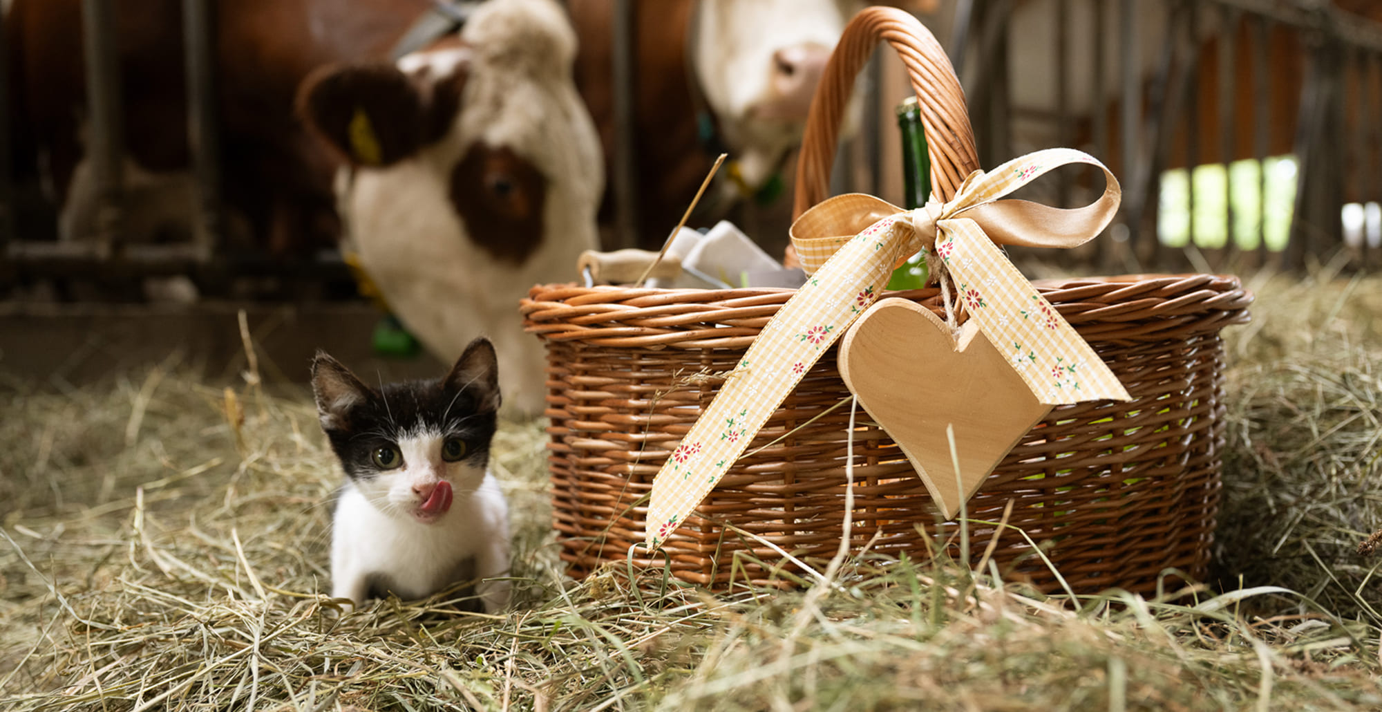 Frühstückskorb mit regionalen Produkten am Feichtlhof