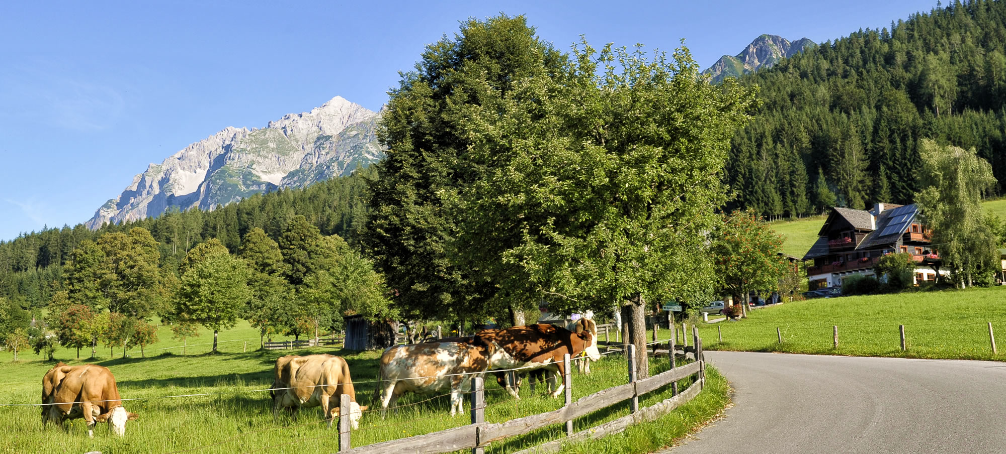 Urlaubsidylle in Ramdau am Dachstein