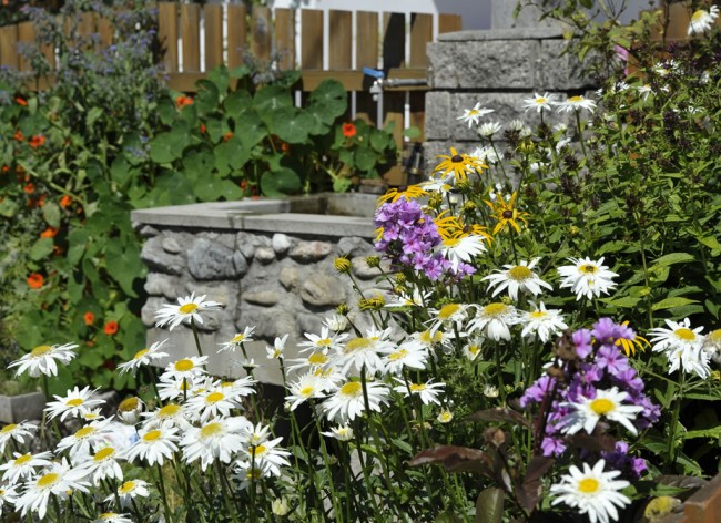 Bunte Blumen im Garten des Feichtlhofs