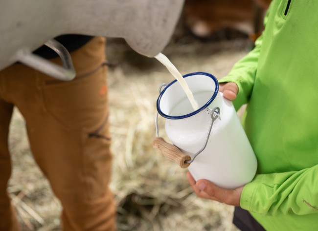Wir stellen unsere Bio Milchprodukte selbst her