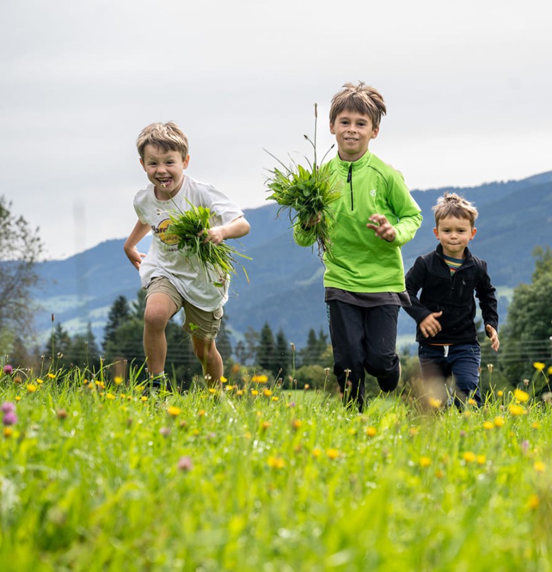 Kinder entdecken die Natur rund um den Bio-Bauernhof Feichtlhof in Ramsau am Dachstein
